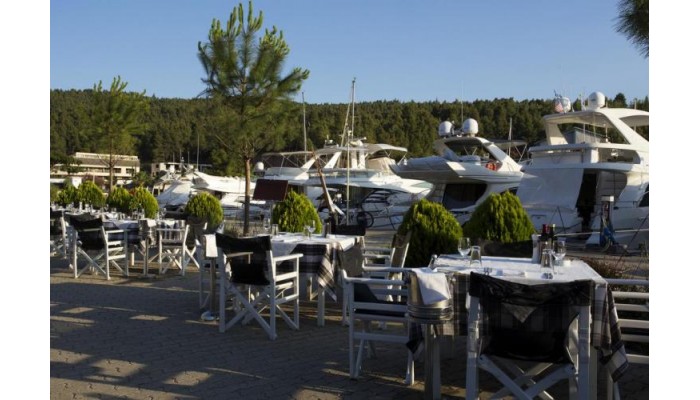 Hotel Porto Carras Sithonia poza 11