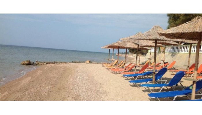 Hotel Porto Matina poza 15