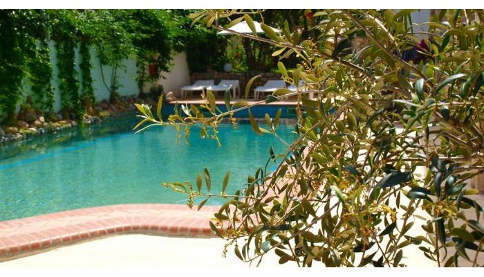 Pighi Hotel poza 3