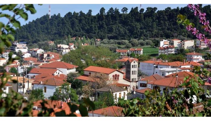 Pighi Hotel poza 0