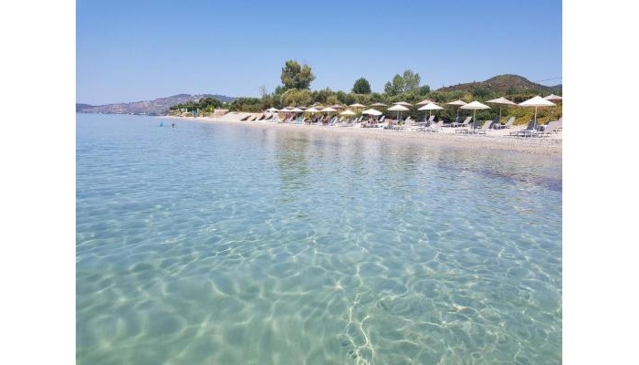 Skion Palace Beach Hotel poza 9