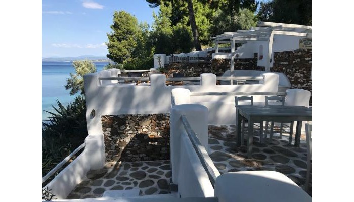 Virginia Hotel poza 2