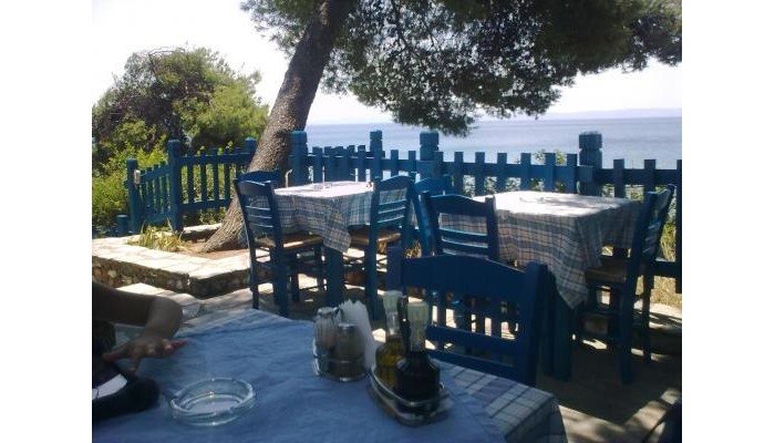 Virginia Hotel poza 3