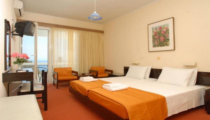 Poza pentru Hotel Alexandros 408-1487235995 Hotel Alexandros poza 2