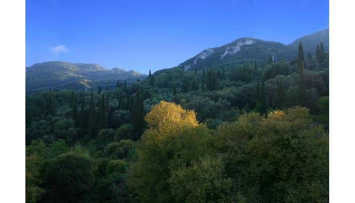 Alexis Pool Apartments poza 8