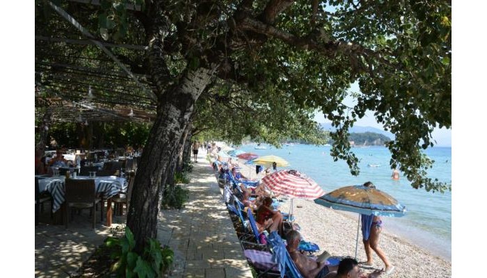 Poza pentru Hotel Dassia Beach 2031-1671095582 Hotel Dassia Beach poza 19