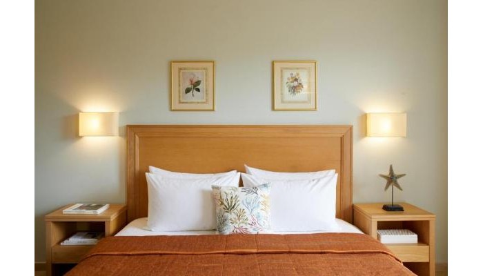 Poza pentru Hotel Delfinia 394-1671116036 Hotel Delfinia poza 10