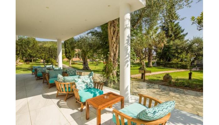 Poza pentru Hotel Delfinia 5496-1671116055 Hotel Delfinia poza 19