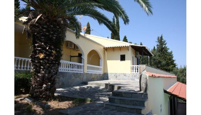 Dimitra Studios poza 12
