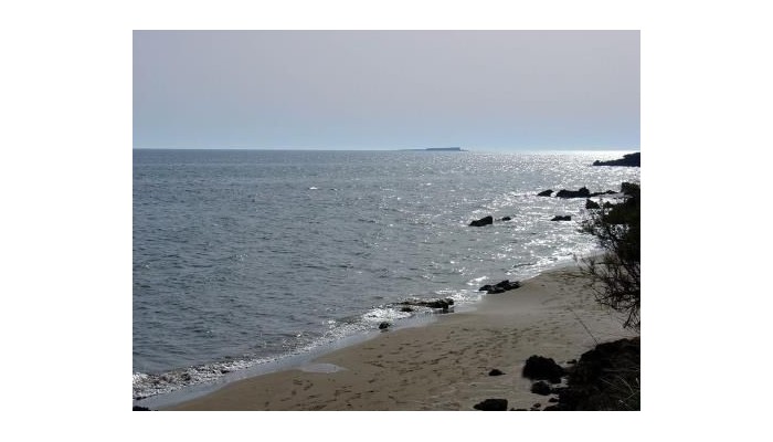 Hotel Golden Sands poza 15