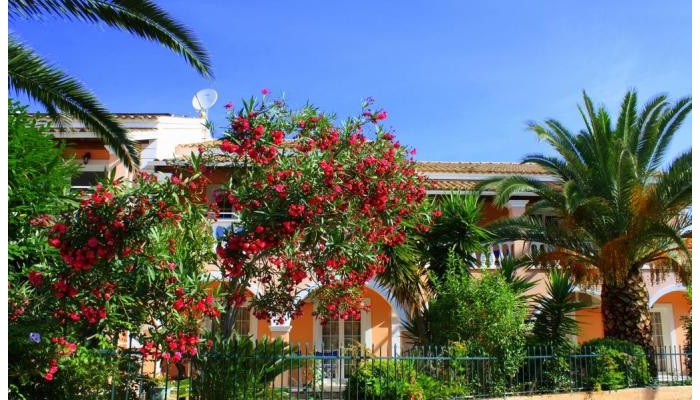 Lea Family Apartments poza 0