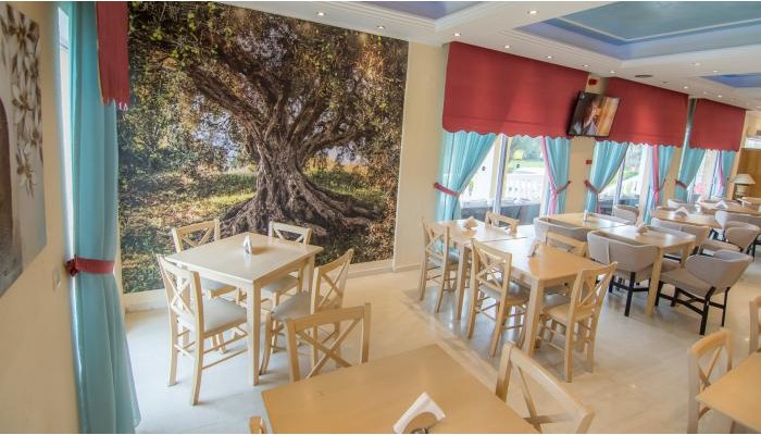 Poza pentru Hotel Primavera 8401-1635235362 Hotel Primavera poza 14