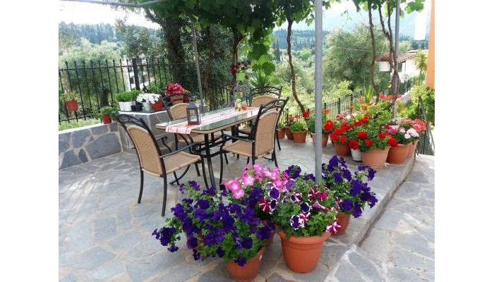 Poza pentru Ziogas Apartments 9914-1605874601 Ziogas Apartments poza 5
