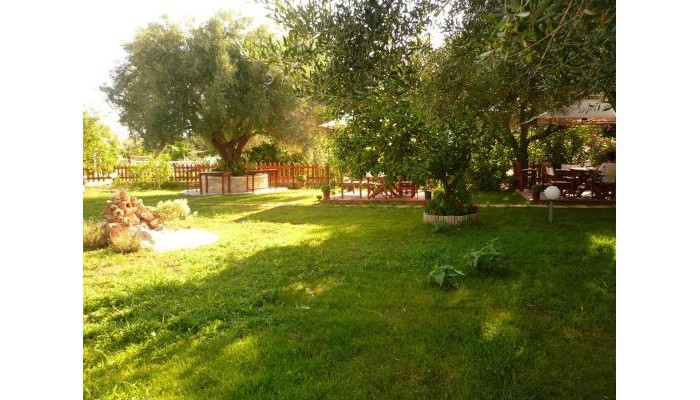 Hotel Avra poza 11