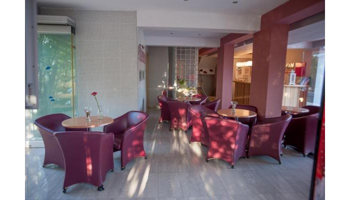 Hotel Palmyra poza 7