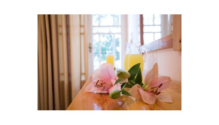 Hotel Pansion Filoxenia poza 21