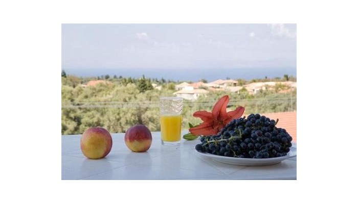 Hotel Pansion Filoxenia poza 9