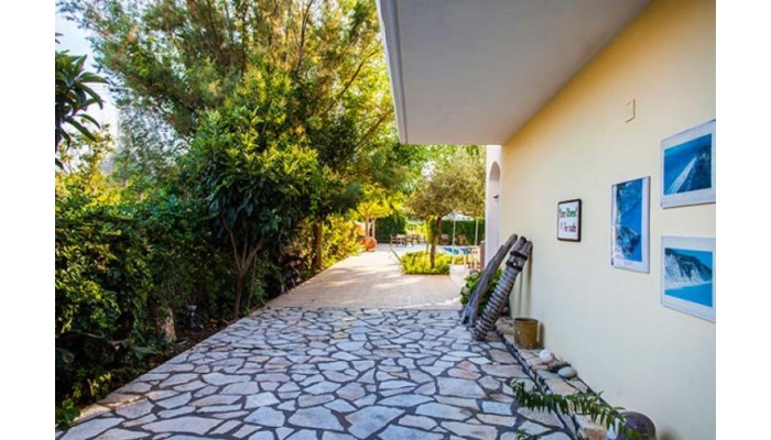 Thanasis Studios poza 3