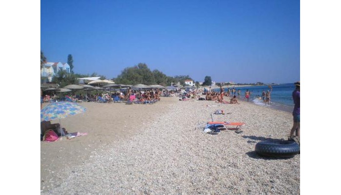 Hotel Albatros poza 2