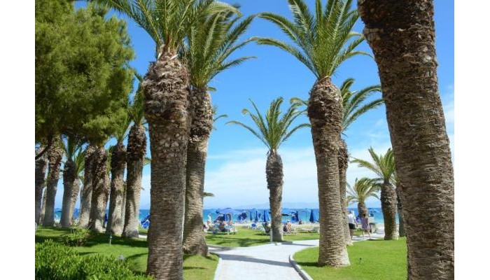 Poza pentru Hotel Blue Horizon 490-1648045512 Hotel Blue Horizon poza 21