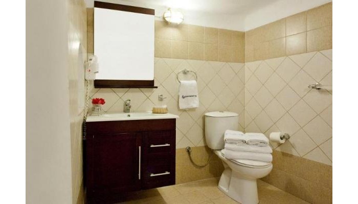 Alexanders Boutique Hotel poza 6