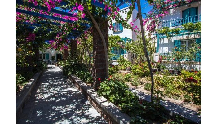 Andreas Hotel Santorini poza 19