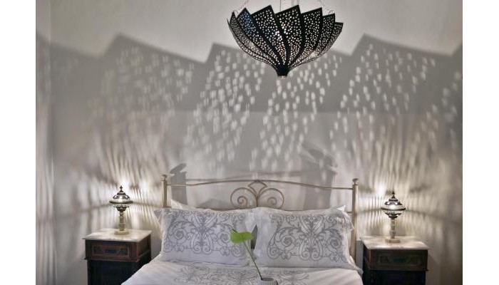 Hotel Alia Mansion By K K poza 14