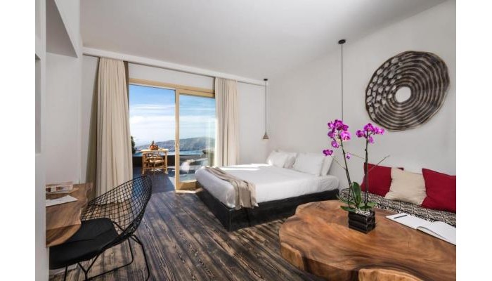 Hotel Andronis Concept Wellness Resort poza 3