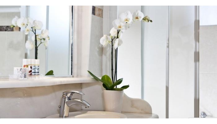 Hotel Celestia Grand poza 5