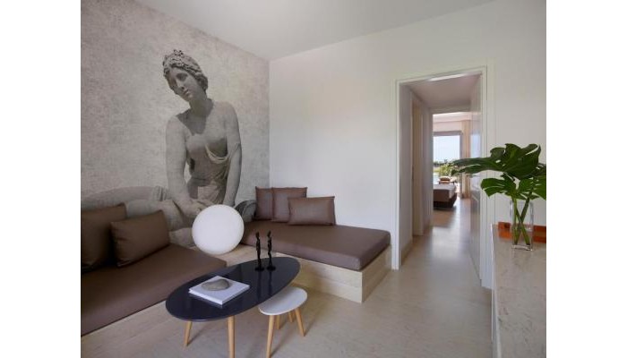 Hotel Nine Muses poza 19