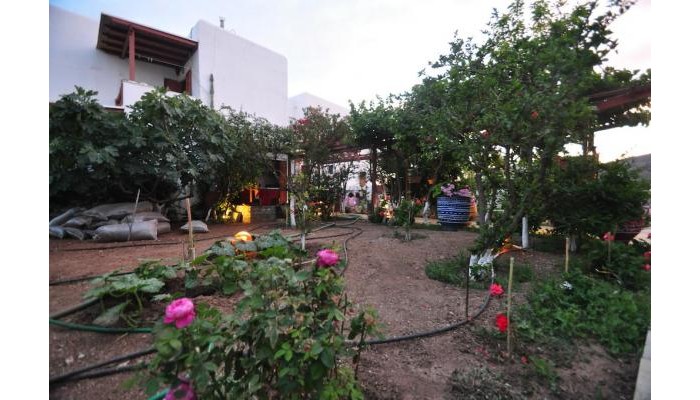 Villa Mata Pension poza 1