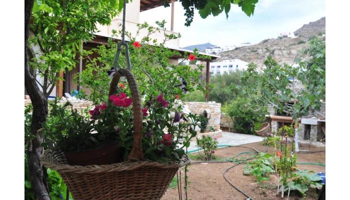 Villa Mata Pension poza 2