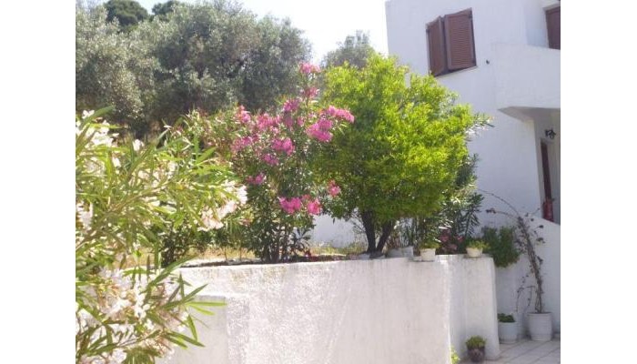 Irini Studios poza 13