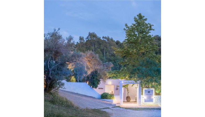 Skiathos Holidays Hotel poza 2