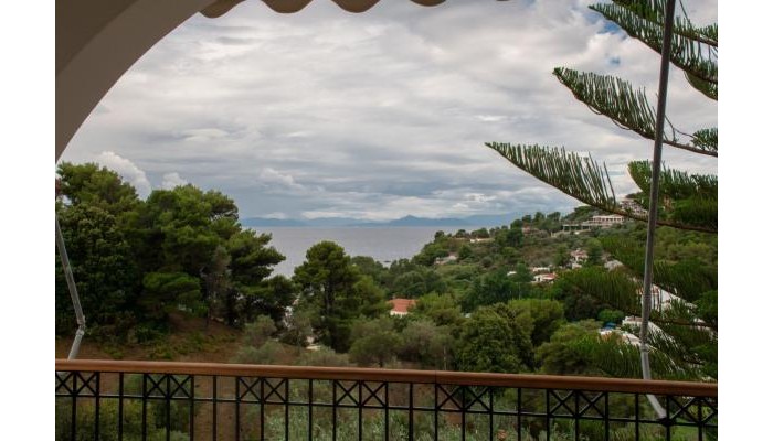 Villas Studios Angela poza 2