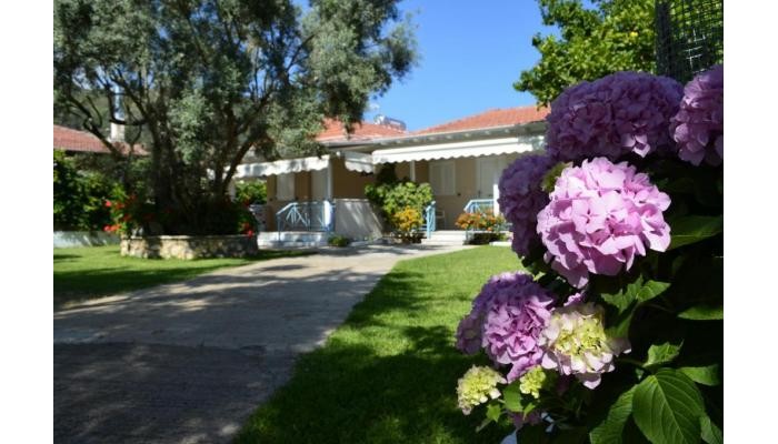 Hotel Aelia Villa poza 3