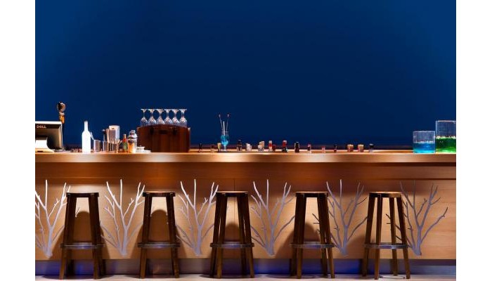 Hotel Aeolis Thassos Palace poza 24