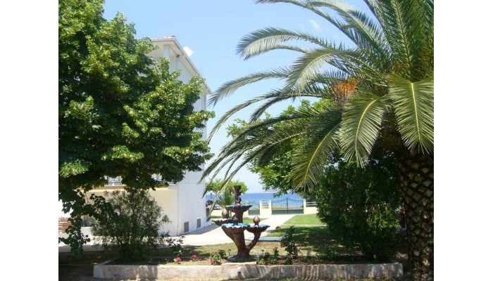 Afroditi Studios poza 5