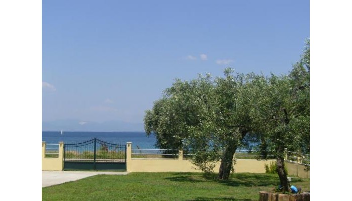 Afroditi Studios poza 6