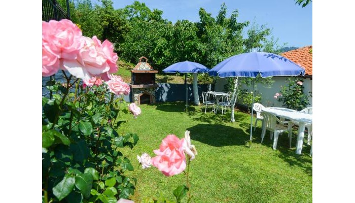 Poza pentru Blue View Studios 7224-1663232377 Blue View Studios poza 8