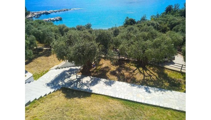 Hotel Celeste Golden Beach poza 4