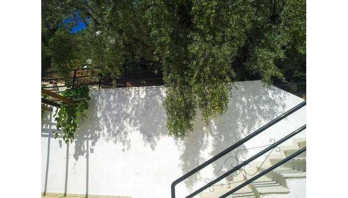 Hotel Celeste Golden Beach poza 10