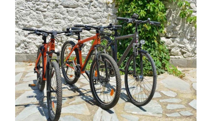 Hotel Pegasus poza 23