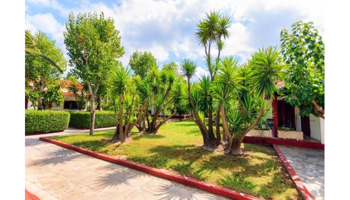 Poza pentru Alykes Park Bungalows & Apartments 1295-1726563000 Alykes Park Bungalows & Apartments poza 4