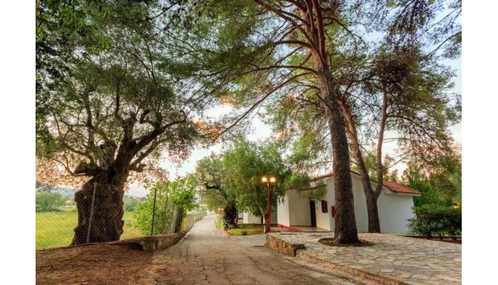 Poza pentru Alykes Park Bungalows & Apartments 8782-1726563005 Alykes Park Bungalows & Apartments poza 6