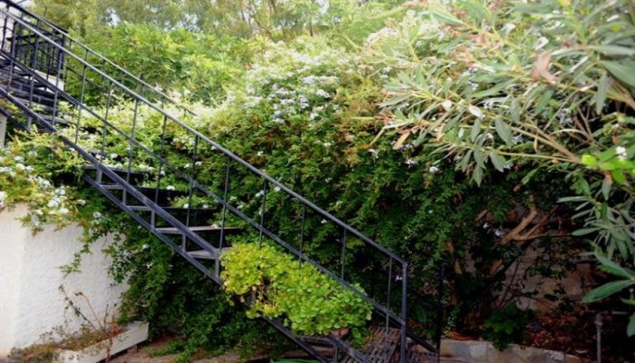 Hotel Argassi Beach poza 5