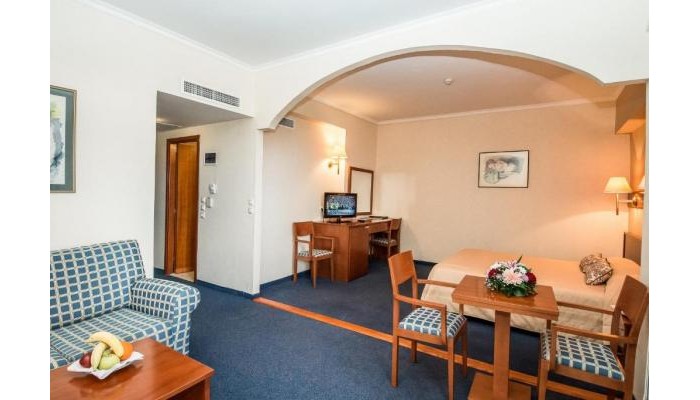 Hotel Palatino poza 7