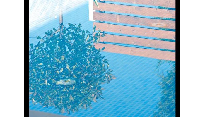 The Oak Hotel poza 6