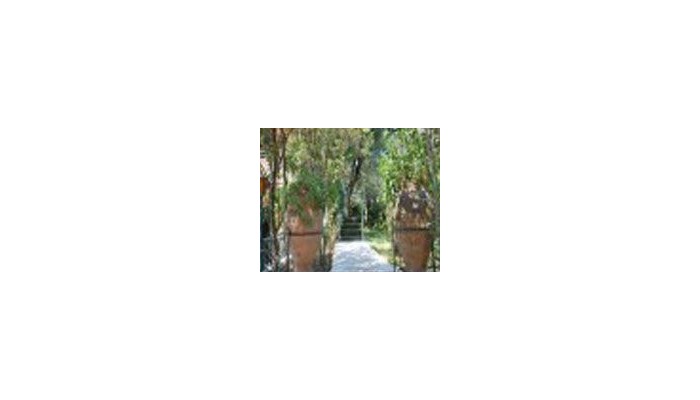 Island Hill Hotel poza 8