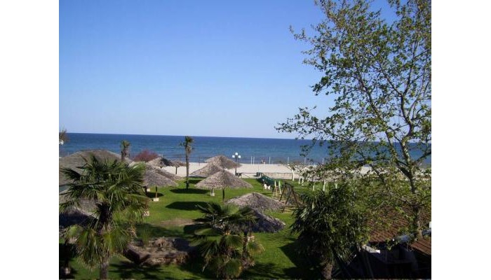 Verginia Studios poza 2